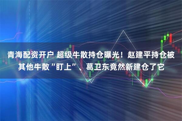 青海配资开户 超级牛散持仓曝光！赵建平持仓被其他牛散“盯上”、葛卫东竟然新建仓了它