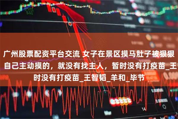 广州股票配资平台交流 女子在景区摸马肚子被狠狠咬一口 当事人：自己主动摸的，就没有找主人，暂时没有打疫苗_王智韬_羊和_毕节