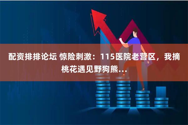 配资排排论坛 惊险刺激：115医院老营区，我摘桃花遇见野狗熊…