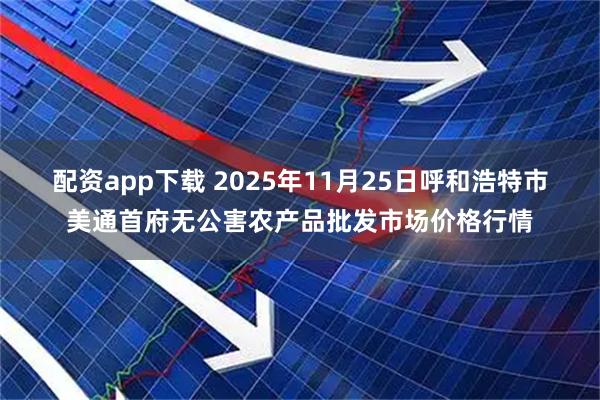 配资app下载 2025年11月25日呼和浩特市美通首府无公害农产品批发市场价格行情